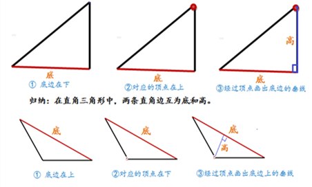 角边,去分别对应三角形的底(边)和顶点,最后画出三角形指定底边上的高