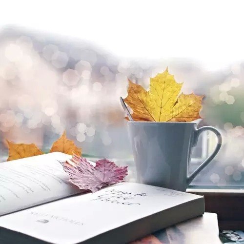 高中英语阅读教学的问题与对策 大颅榄树