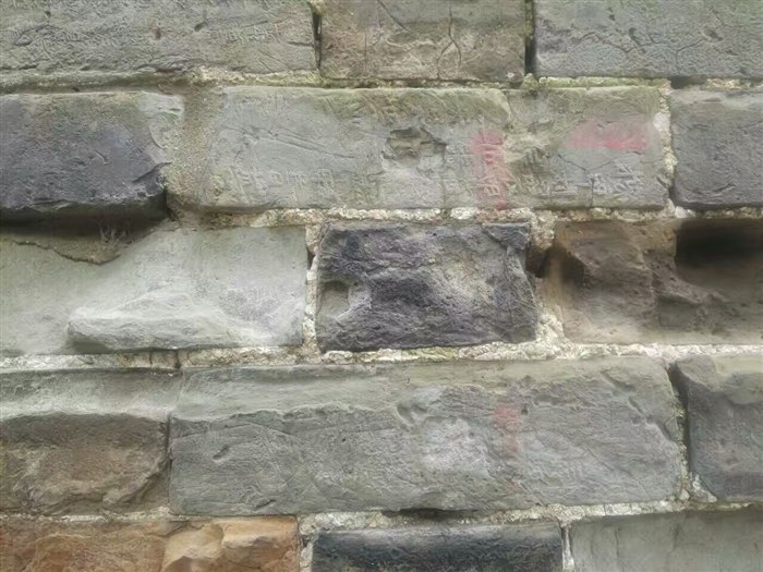 25224117559.jpg