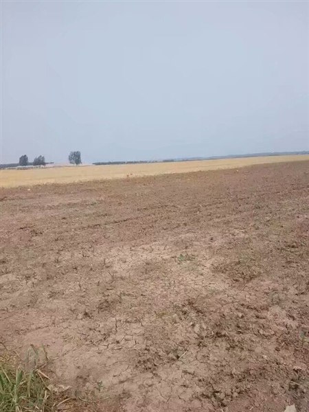 25235613070.jpg