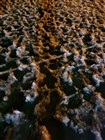 lixi000828 发表于 2023/3/17 5:43:43