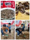 lixi000828 发表于 2023/3/22 23:50:18